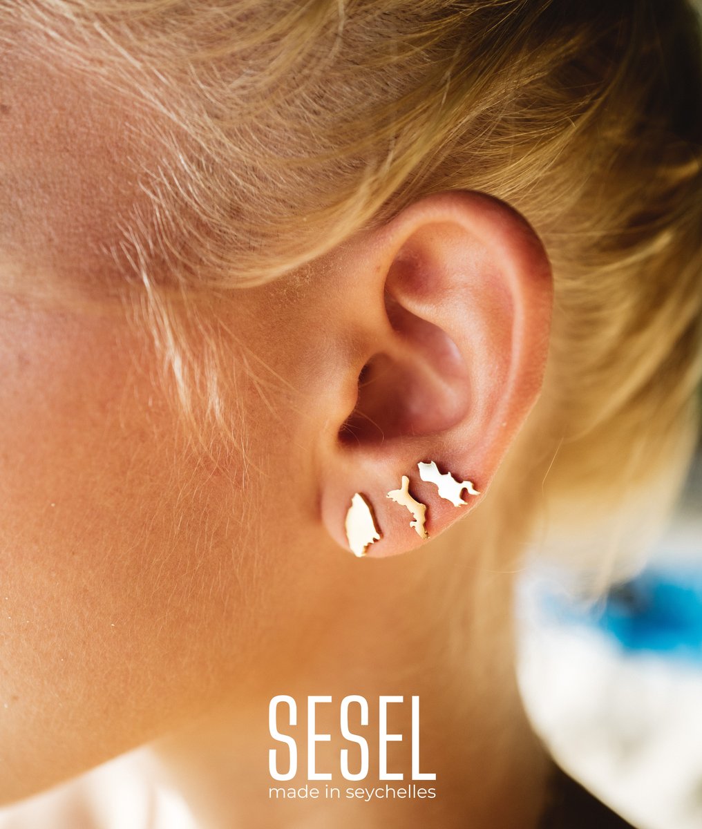 The three petite island studs worn together
